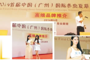 首屆中國（廣州）國際冬蟲夏草品鑒會(huì)【高端品牌推介會(huì)】