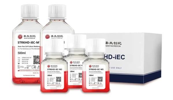 研究級(jí)人PSC-iECs誘導(dǎo)分化試劑盒