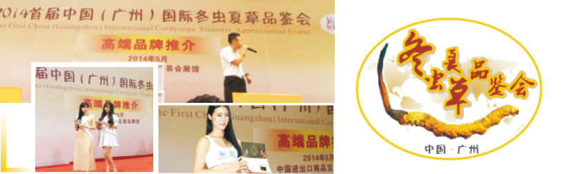首屆中國（廣州）國際冬蟲夏草品鑒會(huì) 【高端品牌推介會(huì)】